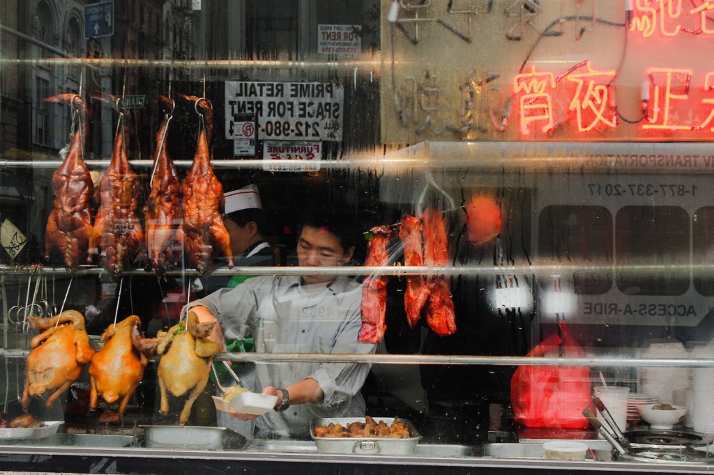 Ducks in the window.